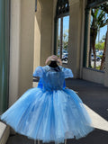 Princess Dress Baby Blue