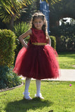 Royal Burgundy  Dress