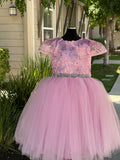 Light Pink princess dress Ball Gown Tulle Flower Dress
