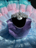 Hand Made Rainbow princess dress