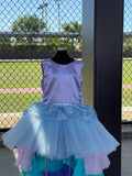 Hand Made Rainbow princess dress