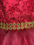 Royal Burgundy  Dress