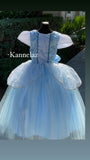 Hand Made Princess baby blue Dress