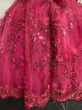 Royal Burgundy little Girl Dress